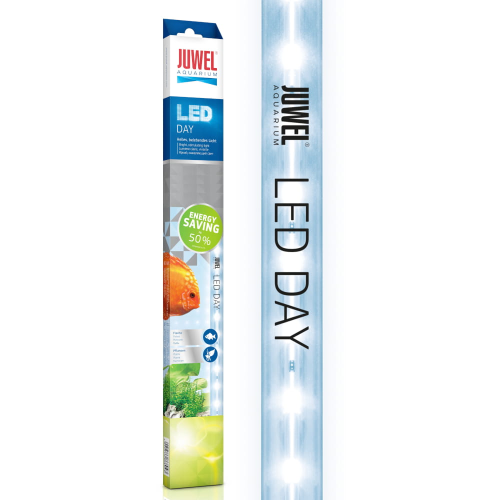 LED W DAY..jpg